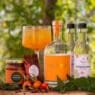 Wild Rose cocktail med hybenmarmelade fra Njord